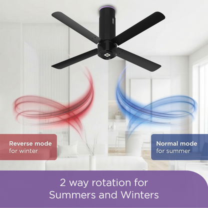 EcoLink AiroQuad BLDC Ceiling Fan