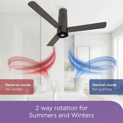 EcoLink AiroQuad 3B BLDC Ceiling Fan
