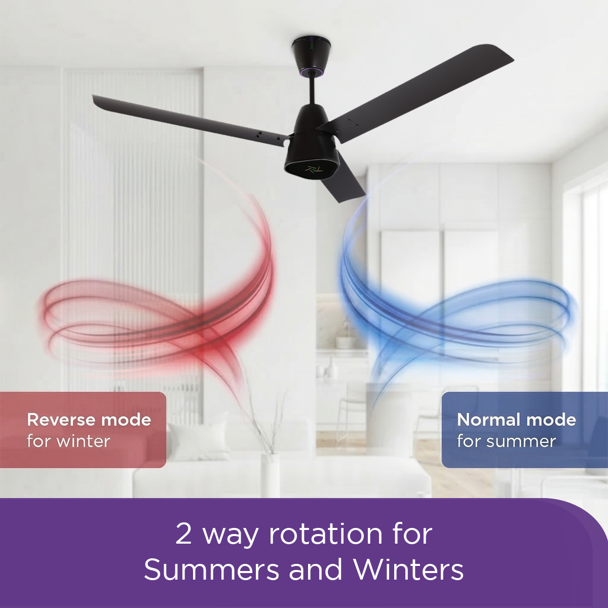 EcoLink AiroGeometry BLDC Ceiling Fan