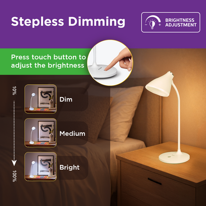 EcoLink TruFocus SKY Desk Light